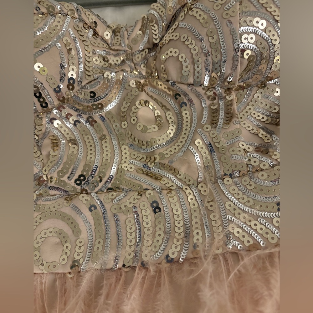 Bebe sequin feather dress - Picture 5 of 7